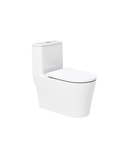 坐便器 AB12307